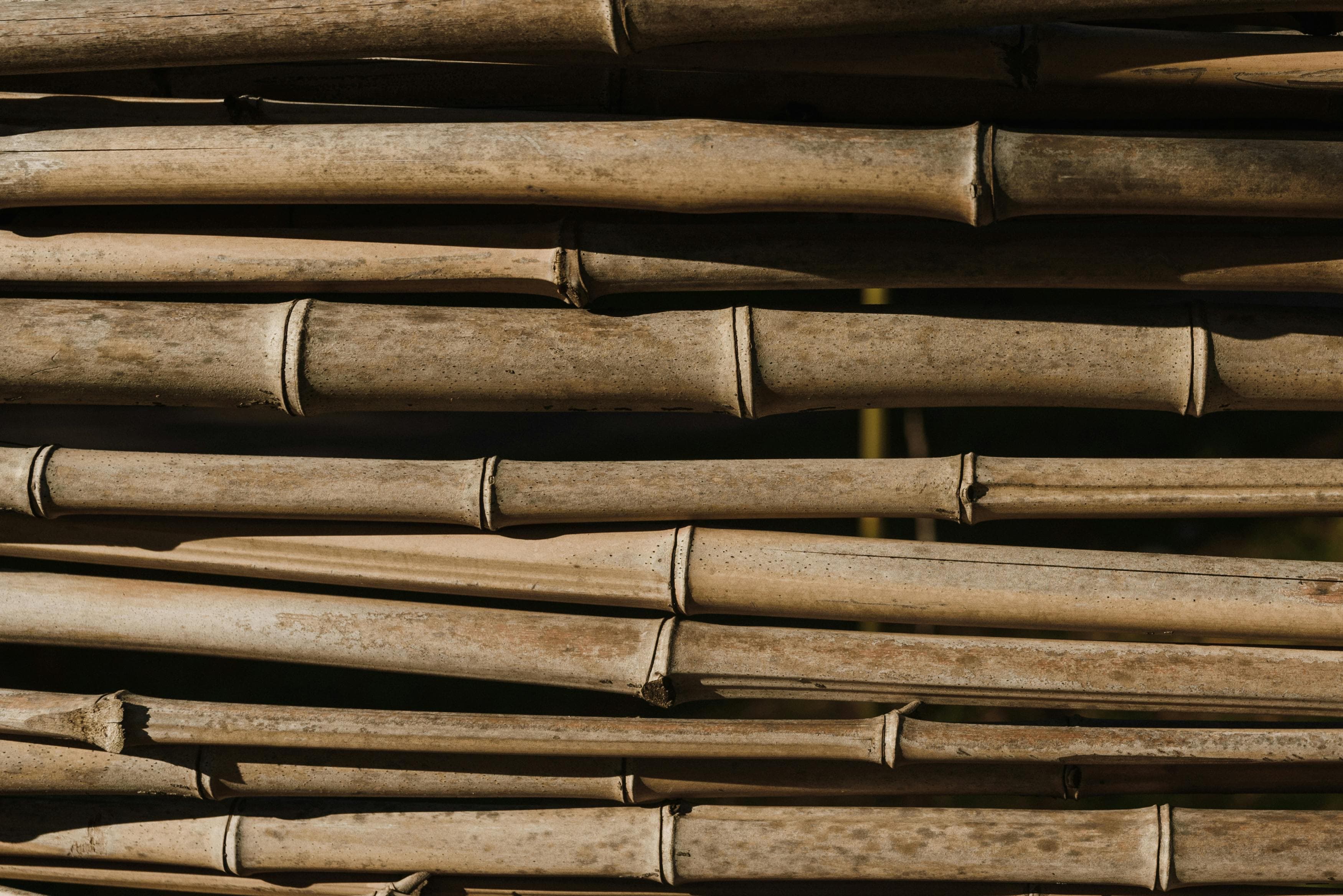 Raw bamboo — the material behind every piece